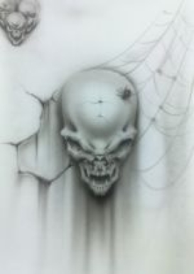 Courses - student project skull with web & dripping 150