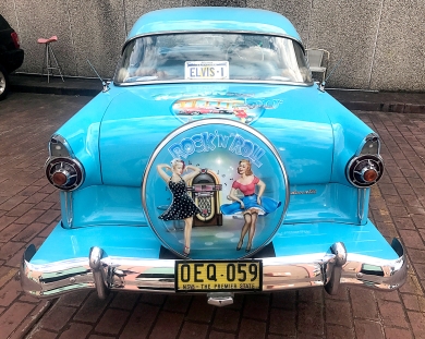 Airbrushed Wheel Cover