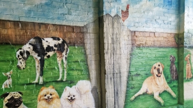 Dogs - Wall Mural