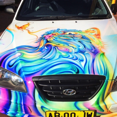 Airbrushed Car - Cat Theme