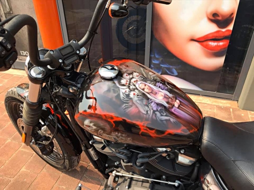 Airbrushed Bike 1