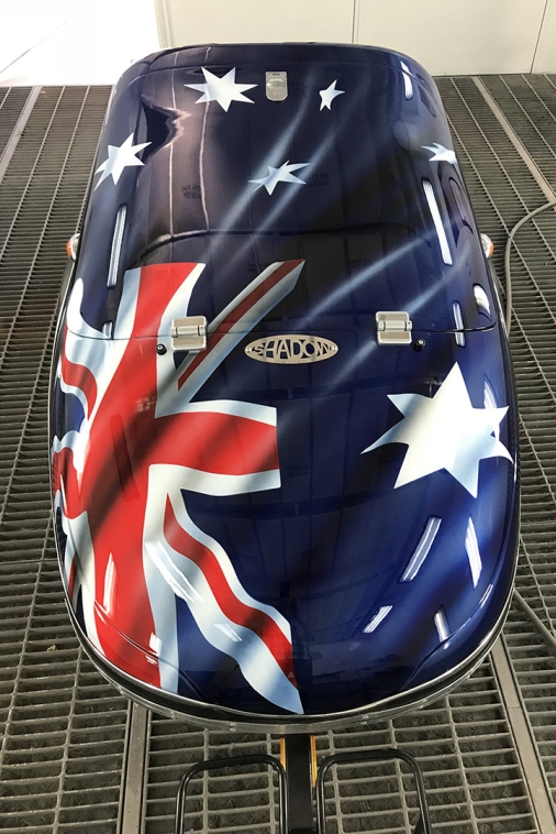 Airbrushed Bike Trailer