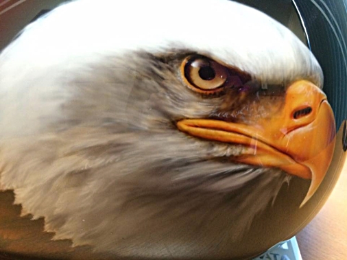 Eagle