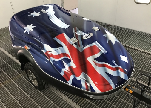 Airbrushed Bike Trailer