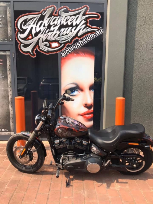 Airbrushed Bike 2