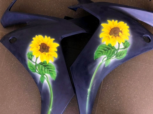 Airbrushed Fairings