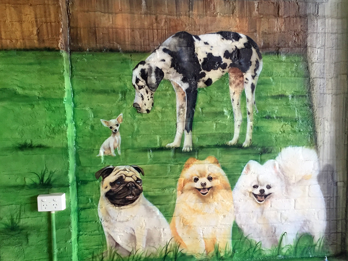 Dogs - Wall Mural