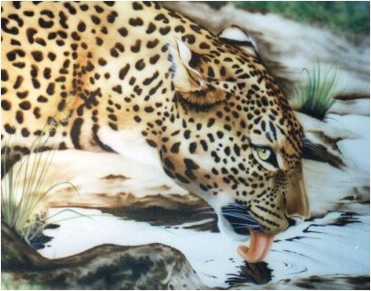 Leopard Fine Art
