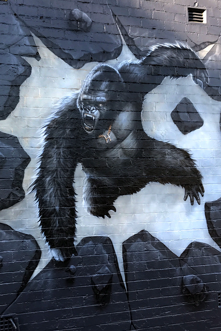 Gorilla Wall Art